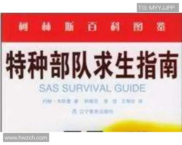 足球内容全解析从基础知识到战术分析一网打尽的全面指南